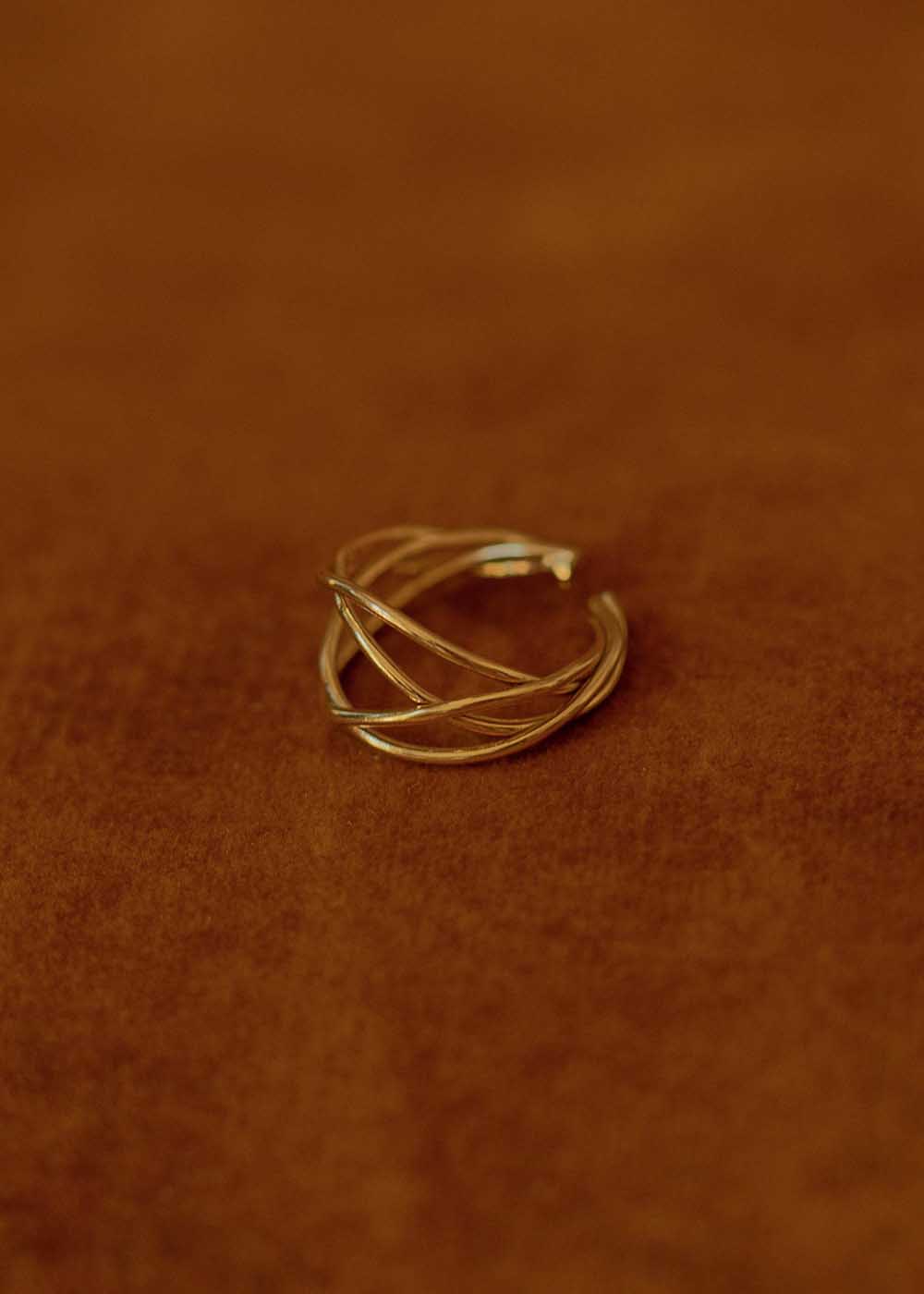 Anello doppio intreccio