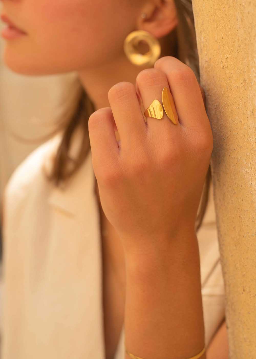Anello doppia piastra